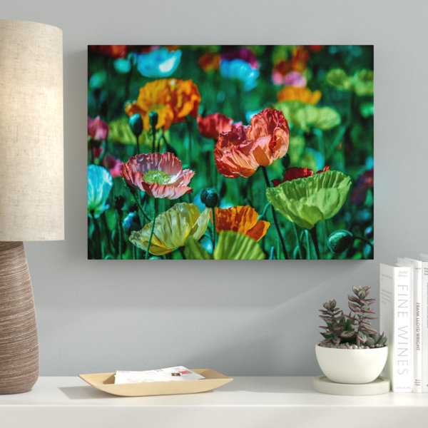 Ebern Designs Sharp Colors Wrapped Canvas Photograph Wayfair